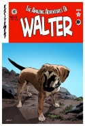 The Amazing Adventures of Walter